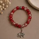 Red Elephant Lifestyle 1.webp
